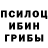 Псилоцибиновые грибы GOLDEN TEACHER Dirty Gans