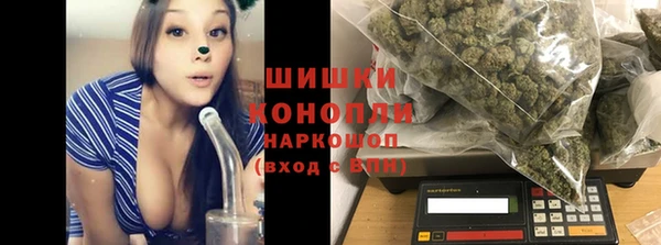 гидра Богородицк
