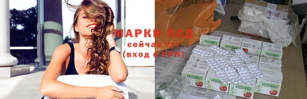 гидра Богородицк