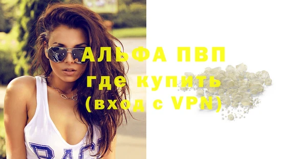 гидра Богородицк