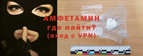 гидра Богородицк