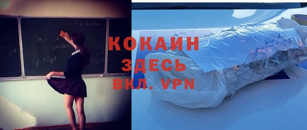 гидра Богородицк