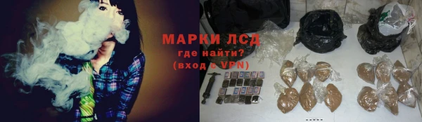 гидра Богородицк