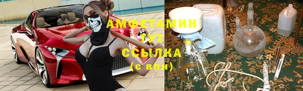 гидра Богородицк