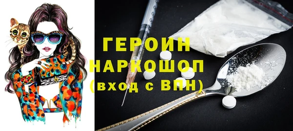 гидра Богородицк
