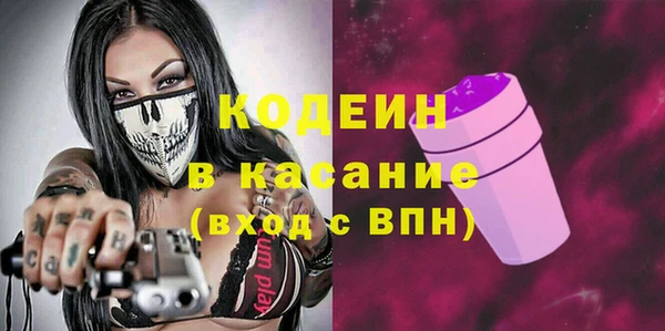 гидра Богородицк