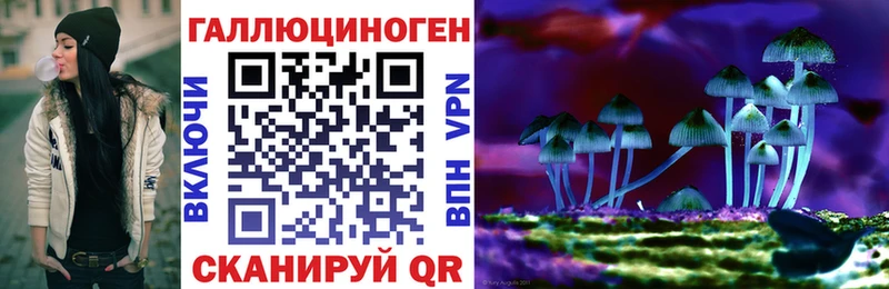 Псилоцибиновые грибы Psilocybine cubensis  Медынь 